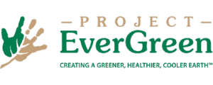 Project EverGreen
