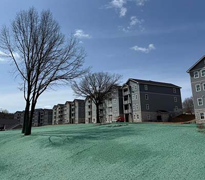 Commercial Lawn Installation
