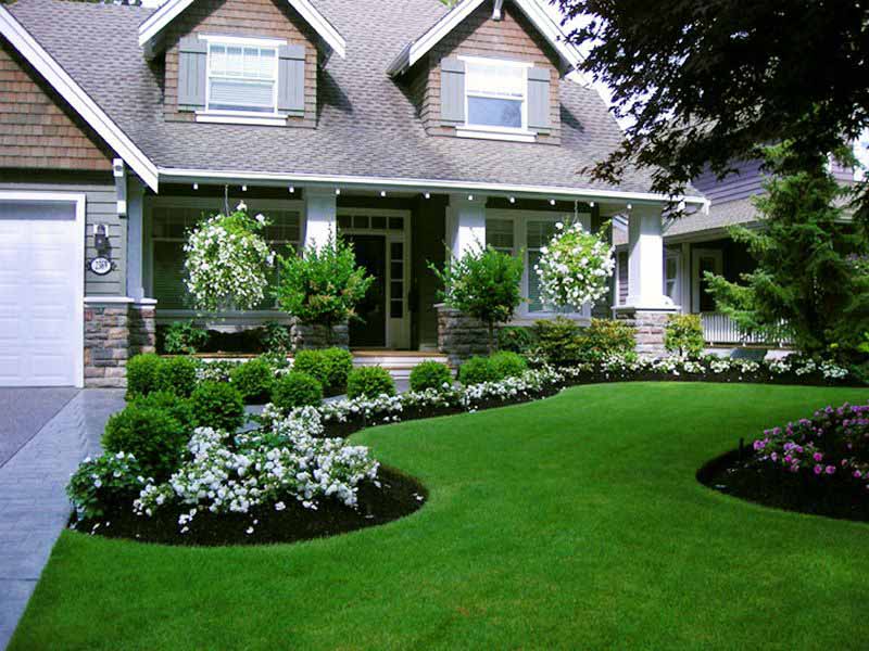 Professional Landscaping