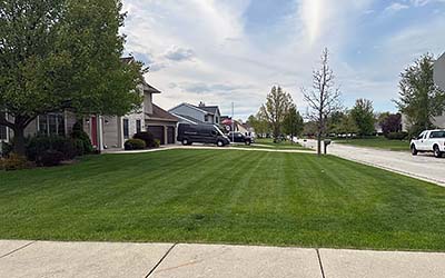 Residential Lawn Care