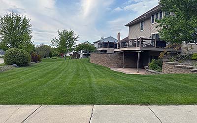 Lawn Care in Milwaukee