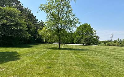 Lawn Mowing in Milwaukee