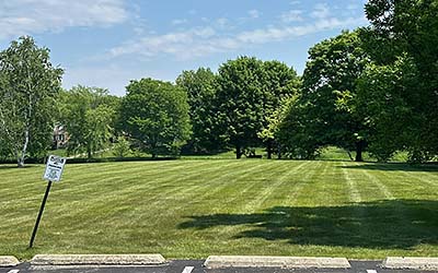 Commercial Lawn Care