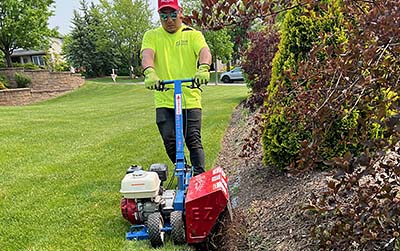 Lawn Edging