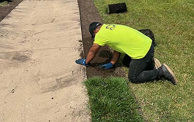 Installing Sod