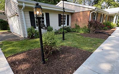Lawn Replacement
